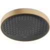 HansGrohe 26231140