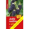 Jedlé rostliny v přírodě