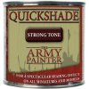 Barva The Army Painter: Quickshade Strong Tone