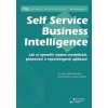 Self Service Business Inteligence - Jan Pour