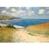Strandweg zwischen Weizenfeldern von Claude Monet (Puzzle) (Claude Monet)(Hra)