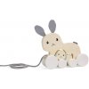 Bigjigs Toys Tahací zajíček s mládětem