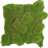 Ball moss varia, dielec 50 x 50 cm (Realistická imitácia machu - uzavretý penový raster)