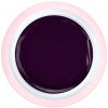 Ruscona GRAPE