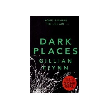 Dark Places - Flynn, G.