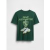 GAP Children's T-shirt Boys zelená