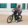 WeeRide SafeFront Deluxe