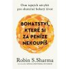 Bohatství, které si za peníze nekoupíš - Osm tajných návyků pro skutečně bohatý život - Sharma Robin S.