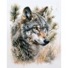 ZUTY Obrazy na stenu - VLK V LESE Rámovanie: vypnuté plátno na rám, Rozmer: 80x100 cm
