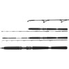 Prívlačový prút Daiwa BG Deep Sea - 2,20 m, 150 - 400 g (30-40 lbs)