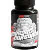 Big Zone NovaSol Curcumin 90 kapslí