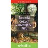E-kniha Tajemství českých a moravských Keltů