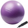 Gymnastický míč HMS YB02N 65 cm fialový