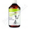 Hyalgel Dog Original jablko 500 ml