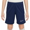 Trenky Nike Dri Fit Academy 25 Jr FZ9784 410