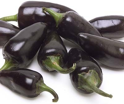 Jalapeno Purple (semená)