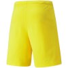 Pánske šortky teamRISE Cyber M 704942 07 - Puma M