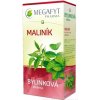 Megafyt Pharma s.r.o. MEGAFYT Bylinková lekáreň OSTRUŽINA MALINOVÁ 20x1,5 g