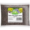 Repka ozimná - Forestina - predaj semien - 200 g