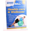 GYMY REHABILITAČNÁ LOPTA ABS 65 cm + pumpa rôzne farby (žltá/zelená/červená/fialová) 1x1 set CIBER International