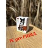 PET HEALTH CARE FYTOPIPETA pre psov od 10 kg do 20 kg, 3x10 ml