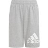 Shorts adidas Essentials Big Logo Cotton Shorts Jr HY4720 (126871) GREEN 152 cm