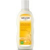 Weleda ovesný regenerační šampón pro suché a poškozené vlasy 190 ml