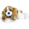 RAPPA Plyšový pes gavalier king charles španiel ležiaci 30 cm, Eco-Friendly 8590687203976