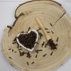 Klinčekovec voňavý, klinček - kvet celý - Syzygium aromaticum - Flos caryophylli 1000 g
