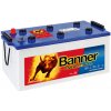 Banner Energy Bull 96801 230Ah 12V