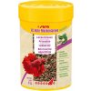 Sera FD Rote Mückenlarven 100 ml