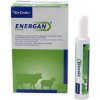 Energan Ketose pasta na zníženie rizika ketózy pre hovädzí dobytok, ovce a kozy 12x300g
