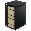 Blumfeldt BinSafe box na odpadky 240 l pozinkovaná oceľ KG29-1door-maplebl