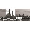 ForWall Fototapeta panoramatická vliesová Urban cities 250 x 104 cm