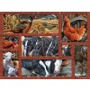 COBBLE HILL Puzzle Priatelia na farme XL 275 dielikov