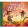 Stane sa zázrak - Zuzana Štelbaská, Adrián Macho (ilustrátor)