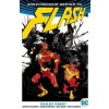 Flash 2 - Rychlost temnoty, Williamson Joshua, 2018