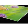 DIMEX | Plexisklo za kuchynskú linku PGT-06040-113 | 60 x 40 cm Motýle + Plexisklo za kuchynskú linku DIMEX v rozmere 60 x 40 cm, Motýle + Lepidlo zadarmo