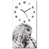 Moderné hodiny nástenné Biela sova 30x60 cm