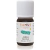 Jedľová silica Hanus – esenciálny olej pre aromaterapiu