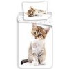 Jerry Fabrics Obliečky Kitten white 1x70x90/1x140x200cm