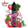 OIL4VAP Shake and Vape Kabuki Fresa Deluxe 12 mll Longfill