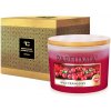 Sójová vonná eko sviečka WILD CRANBERRY 2 knôty PARFUMIA 400 ml