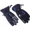 Blizzard Reflex ski gloves black/silver