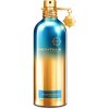 Montale Blue Matcha parfumovaná voda unisex 100 ml