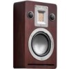 Audiovector QR WALL Dark Walnut Veneer,