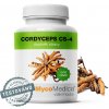 ❤️ MycoMedica CORDYCEPS CS-4 | Húsenica čínska | Ophiocordyceps sinensis ❤️ AKCIA: ✅ od 2 ks 📉 - 7 % až - 13 % ZĽAVA ❤️ 90 rastlinných kapsúl po 500 mg extraktu ❤️ MycoMedica® - KVALITNÉ Prírod