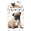 JERRY FABRICS Obliečky Bulldog 02 1x70x90/1x140x200cm