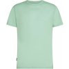 Icebreaker Merino 150 Ace SS Tee Men zelená