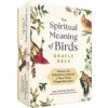 SPIRITUAL MEANING OF BIRDS ORACLE DECK